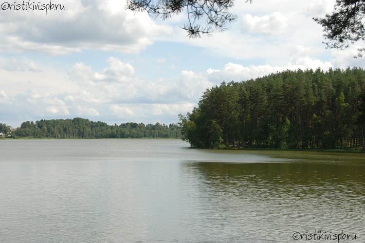   / Petäjärvi