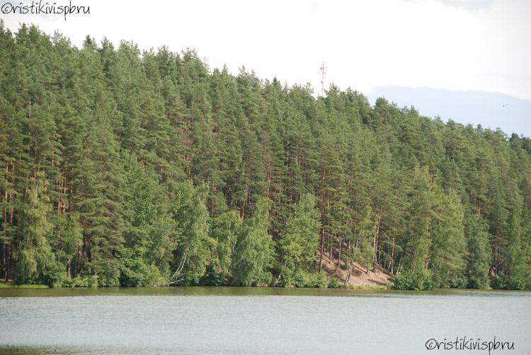   / Petäjärvi